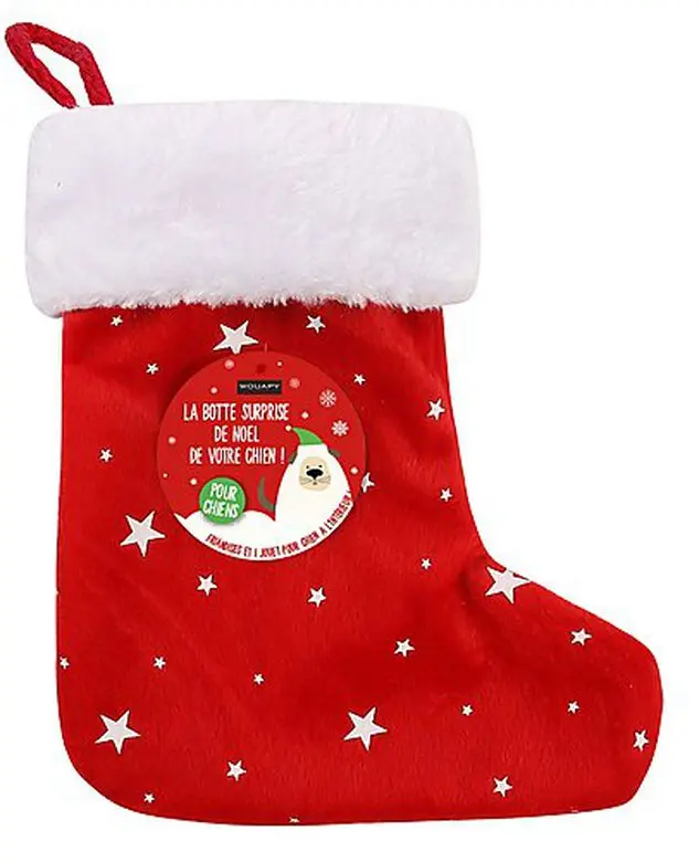 Botte surprise noël chien - Wouapy