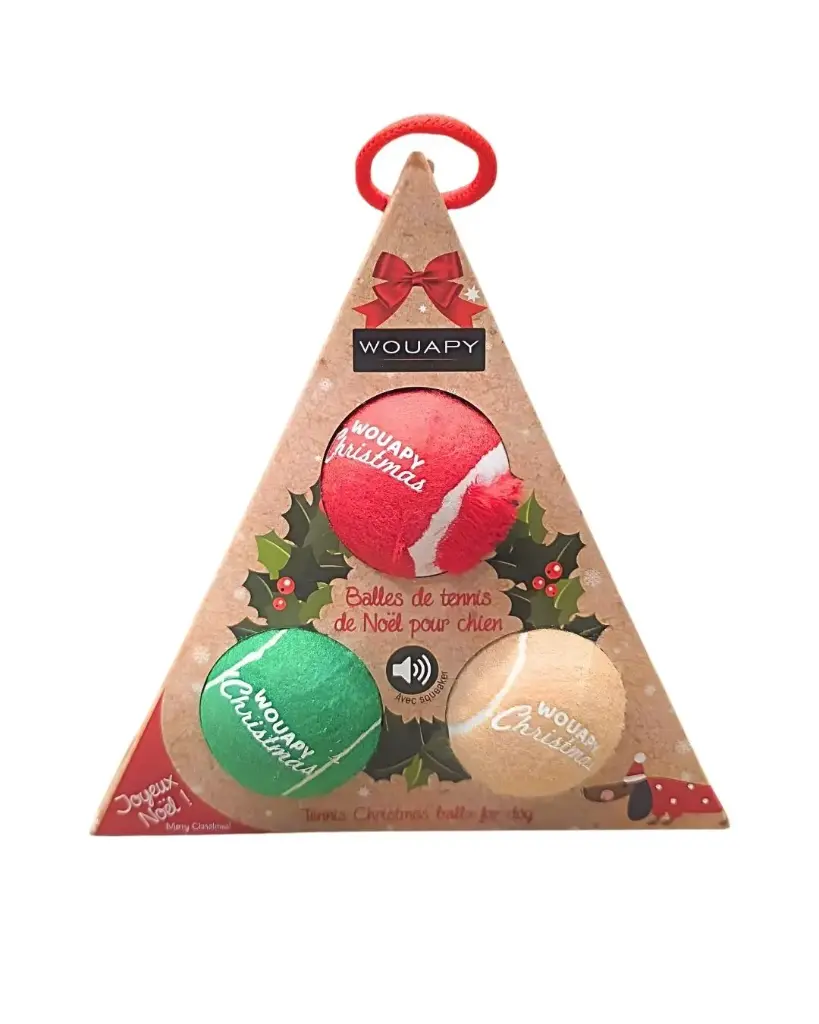 [J25030020] Coffret 3 balles de tennis Noël chien - Kong