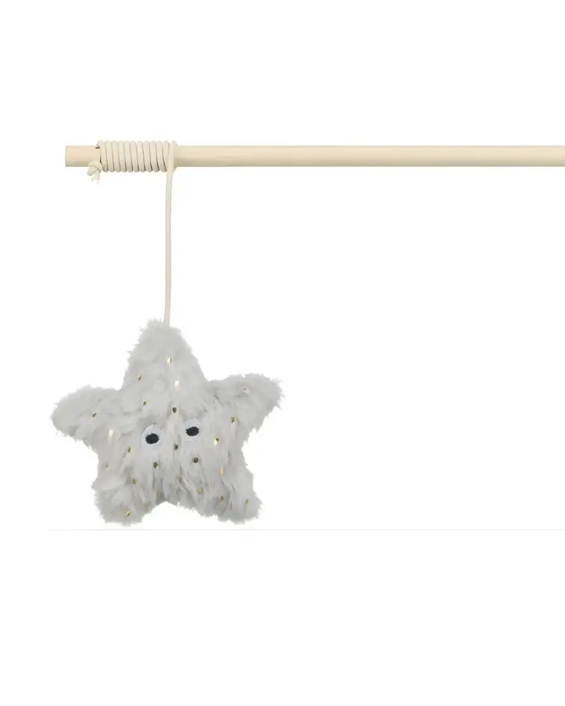 [J25030045] Canne à pêche étoile noël - Trixie