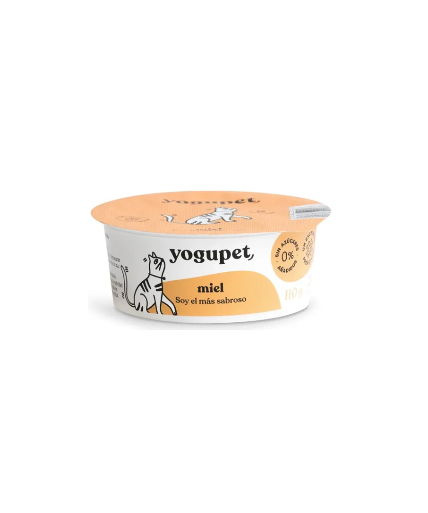 Yaourt classique chat miel (110 g) - Yogupet