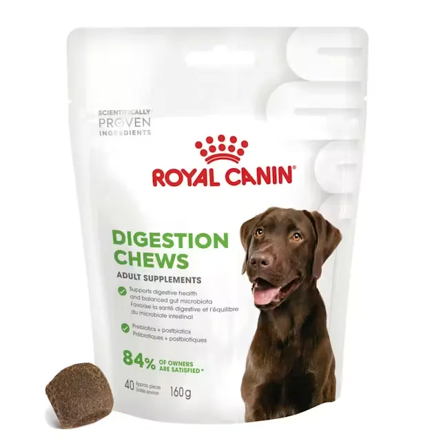 [J25030149] Supplément pour chien adulte digestion (sachet 160 g) - Royal Canin