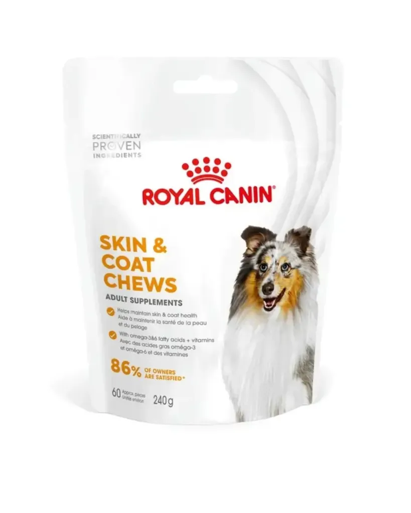 Supplément pour chien adulte skin & coat (sachet 240 g) - Royal Canin