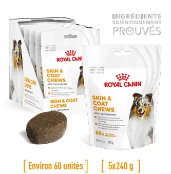 [J25030150] Supplément pour chien adulte skin & coat (sachet 240 g) - Royal Canin