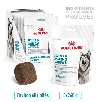 [J25030151] Supplément pour chien adulte joint & ageing chews (sachet 240 g) - Royal Canin