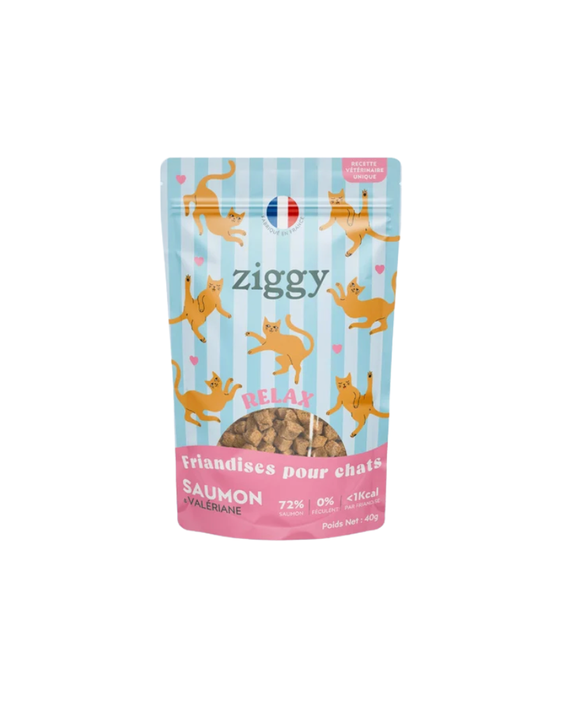 Friandises chat RELAX Saumon & Valériane (40 g) - Ziggy