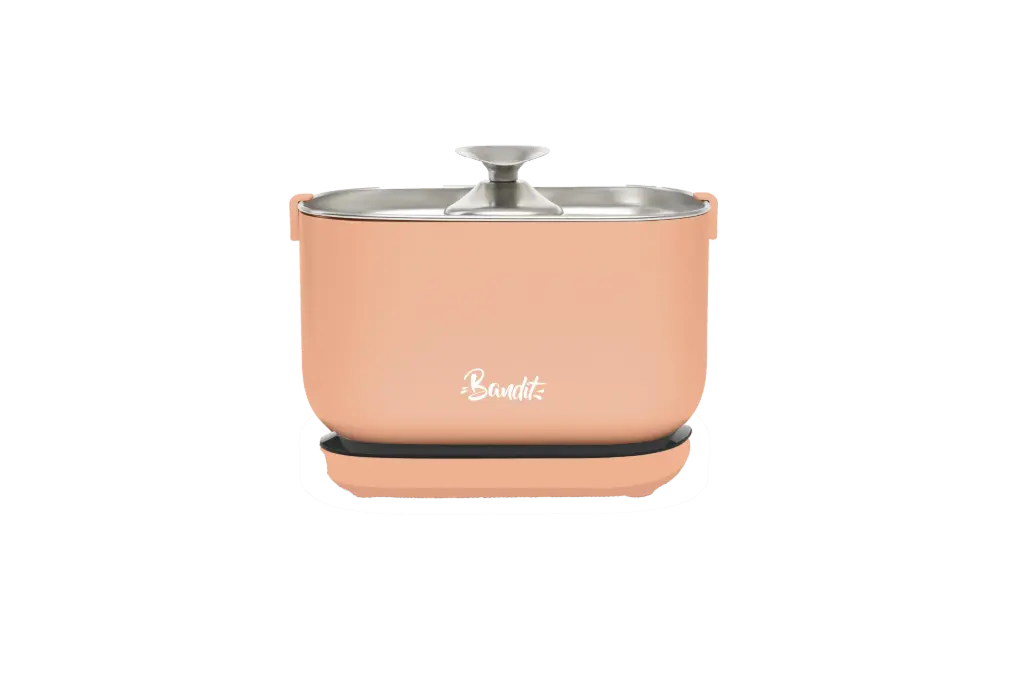 [J25050102] Fontaine à eau sans fil pêche - Bandit