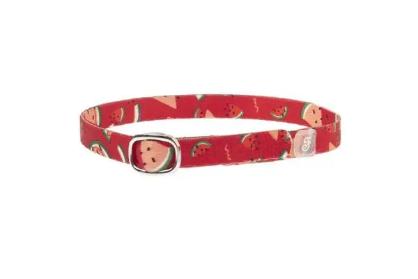 Collier chat pastèque / watermelon - Ferribiella
