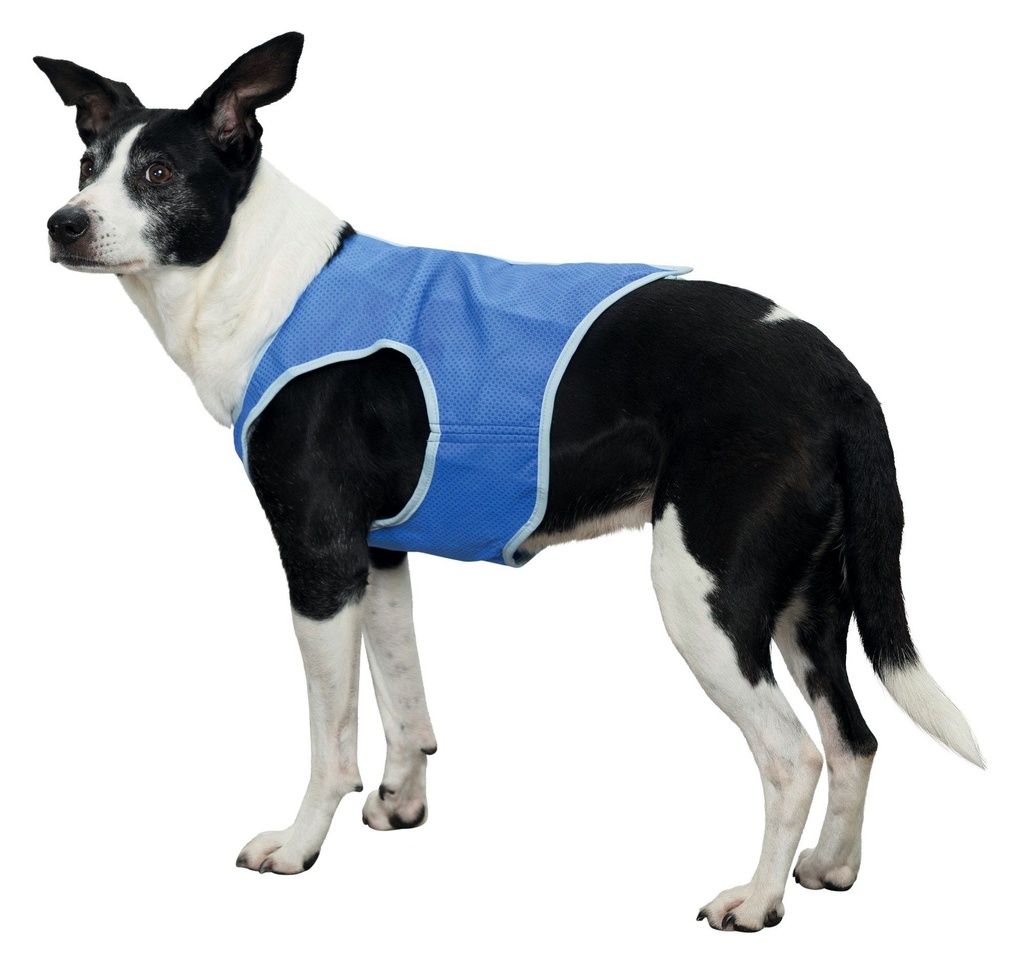 Veste rafraîchissante pour chien (M) - Trixie