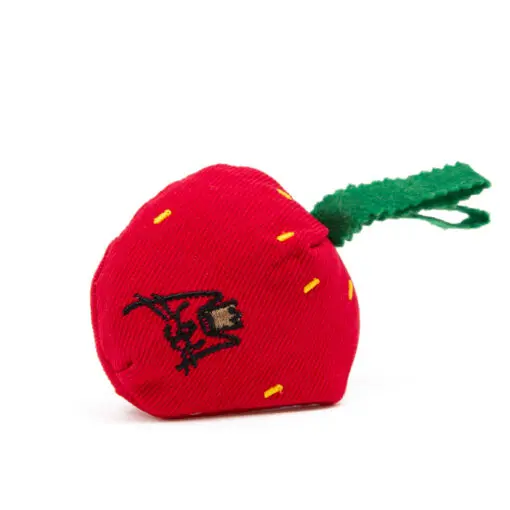 [J25070057] Fraise - King Catnip