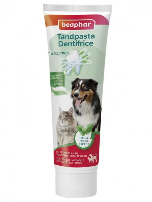 Dentifrice menthe poivrée & persil (100 g) - Beaphar