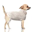 Pull beige et lurex Jana - Milk&Pepper