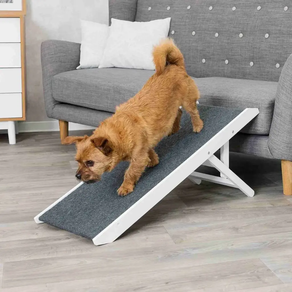 [J25080455] Rampe réglable en hauteur pour petit chien - Trixie