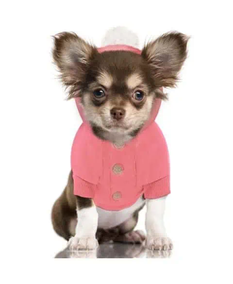 Sweat hoody bohème - Milk&Pepper