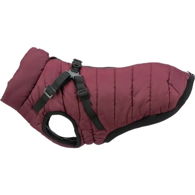 [J25090137] Manteau d'hiver Pirou - Trixie (24 cm)