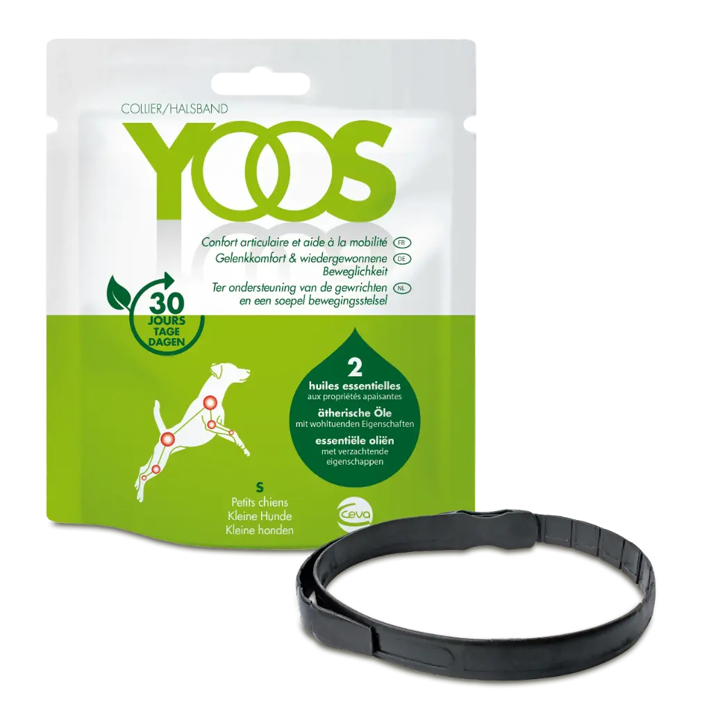 [J25090428] Yoos collier petit chien - Ceva
