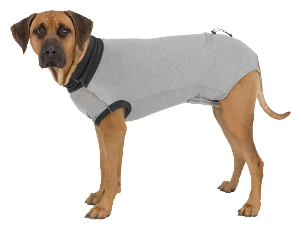 Body de protection (S-M) - Trixie
