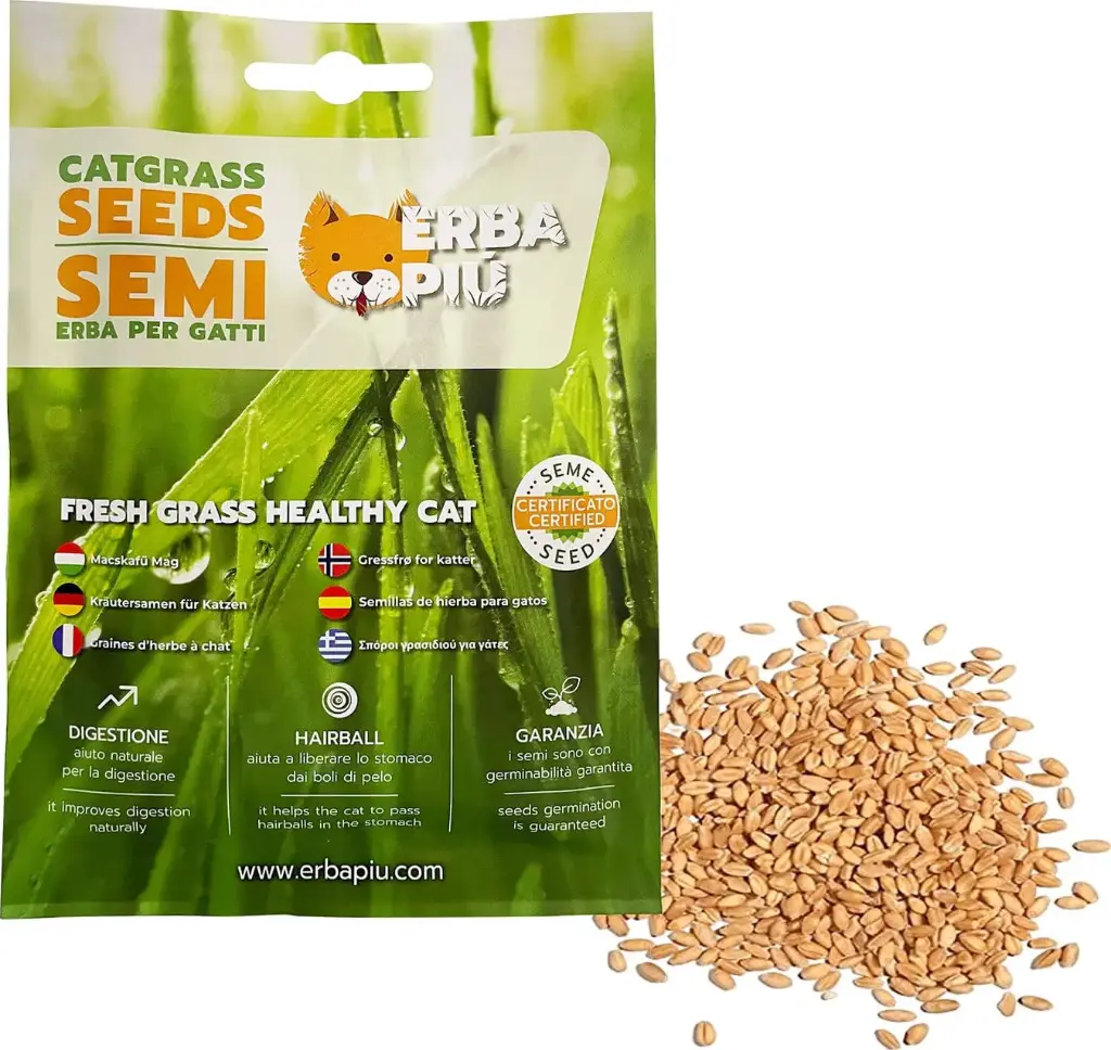 Graines herbe à chat (40 g) - Erba Più