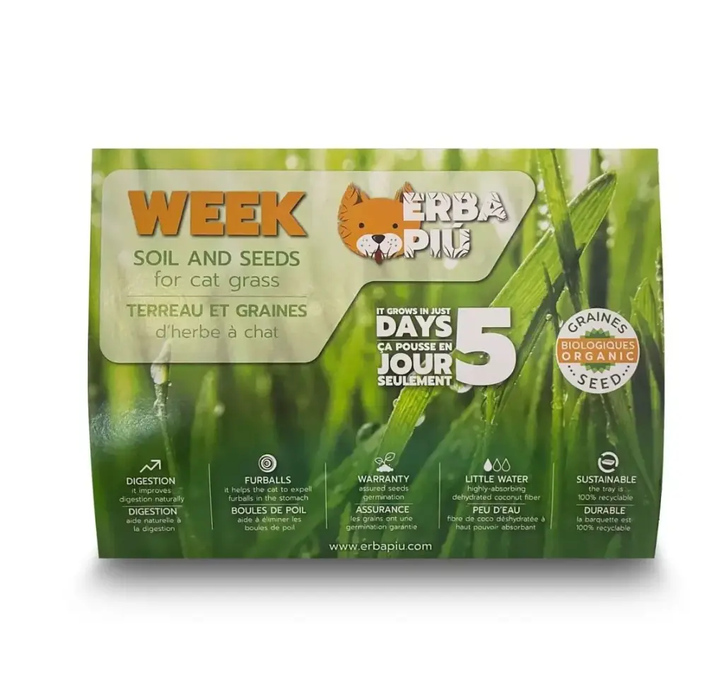 [J25090460] Kit complet herbe à chat week - Erba Più