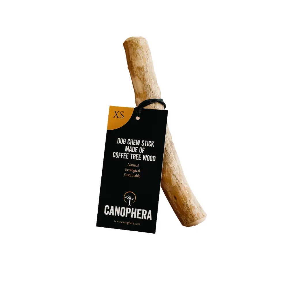 [J25090463] Bâton en bois de caféier à mâcher pour chien - Canophera (XS)