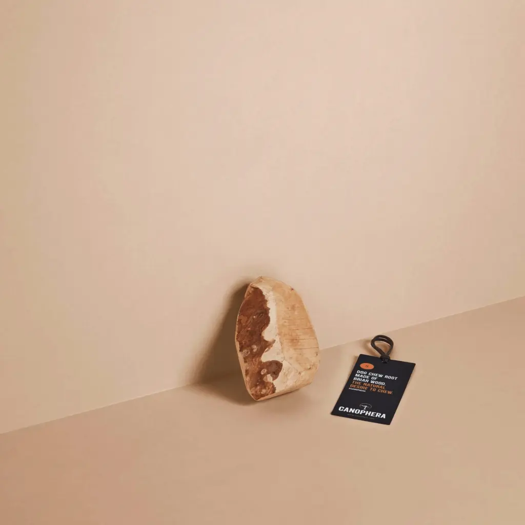 [J25090469] Racine en bruyère à mâcher pour chien - Canophera (S)