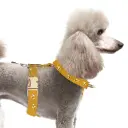 Harnais July - Milk&Pepper