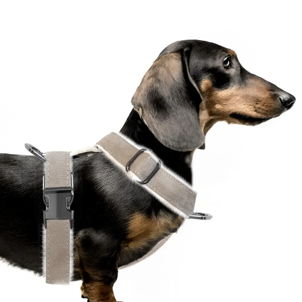 Harnais Valdemar - Milk&Pepper