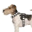 Harnais Naval - Milk&Pepper