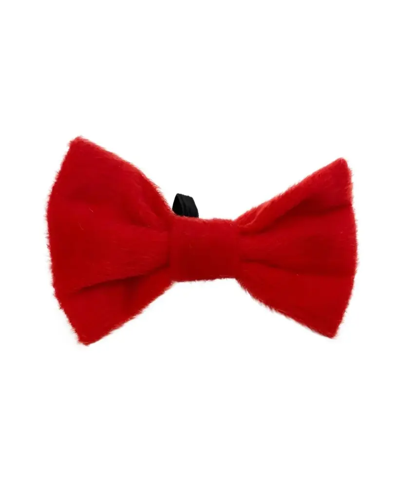 [J25100087] Nœud papillon - Bubimex