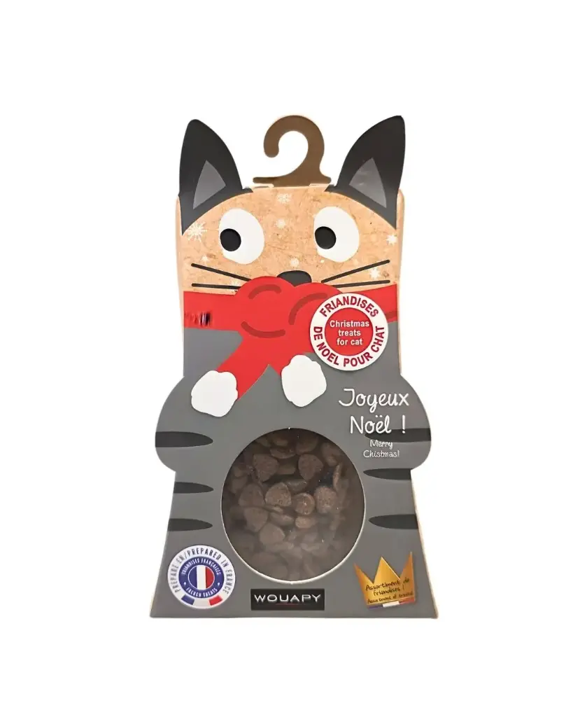 Boite de Noël friandises chat (50 g) - Wouapy