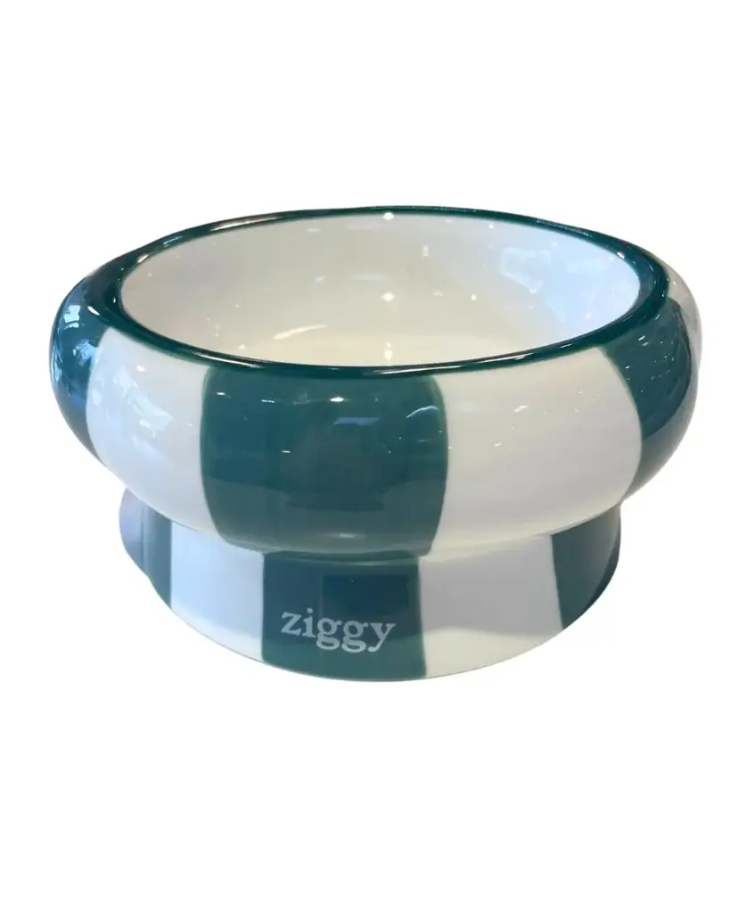 [J25110205] Gamelle céramique Cool Cat Club Vert & Beige (15.5 cm) - Ziggy