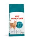 Croquettes chat Healthy Ageing 11+ (2 kg) - Royal Canin
