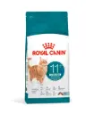 Croquettes chat Healthy Ageing Sterilised 11+ (4 kg) - Royal Canin