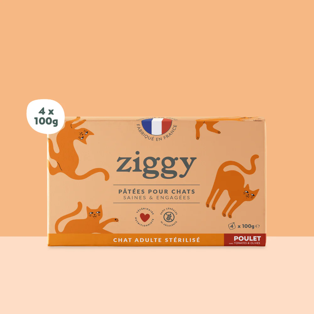 [J25110252] Pâtée Complète Chat Adulte Stérilisé poulet (4 barquettes 100 g) - Ziggy 
