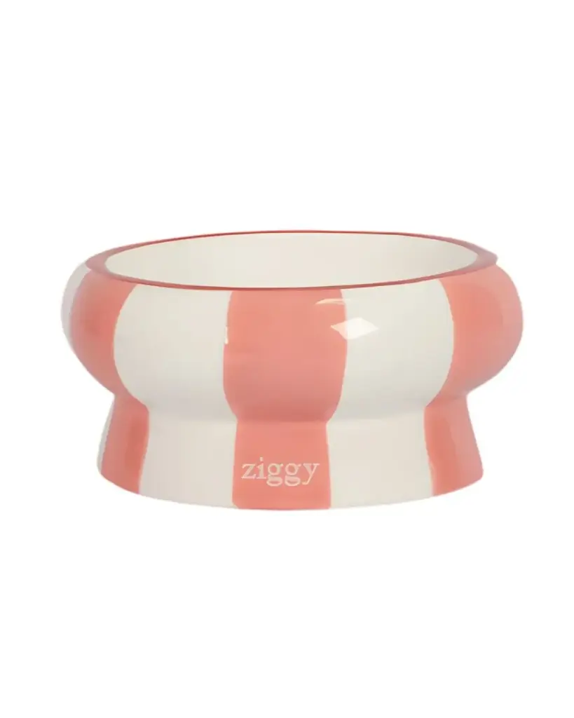 [J25110254] Gamelle céramique Cool Cat Club Rose & Beige (15.5 cm) - Ziggy 