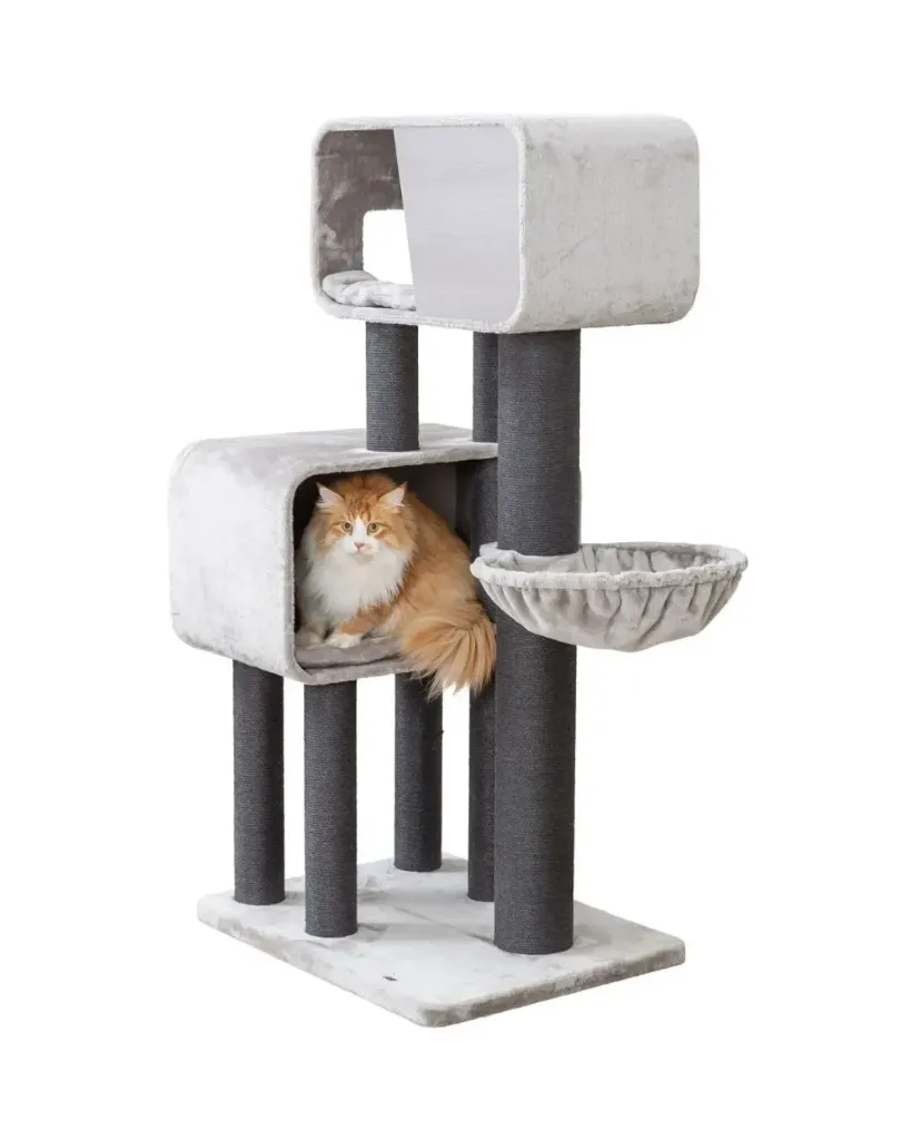 Arbre à chat XXL Raphael (156 cm) - Trixie