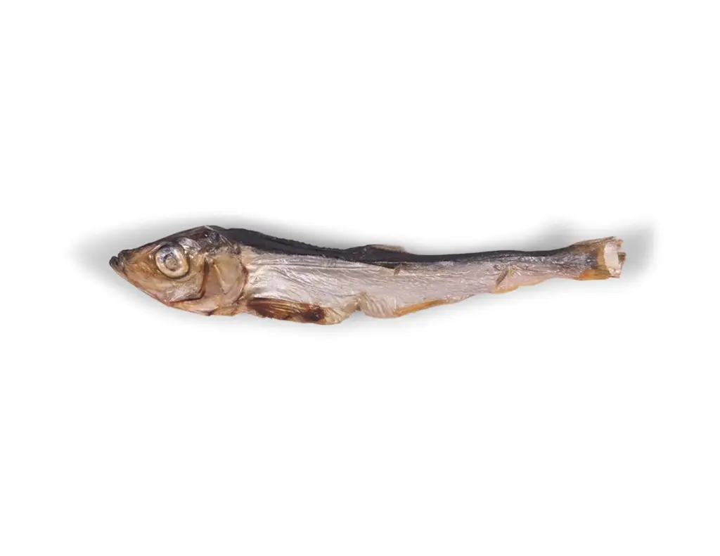 Harengs séchés (100 g) - Vadigran