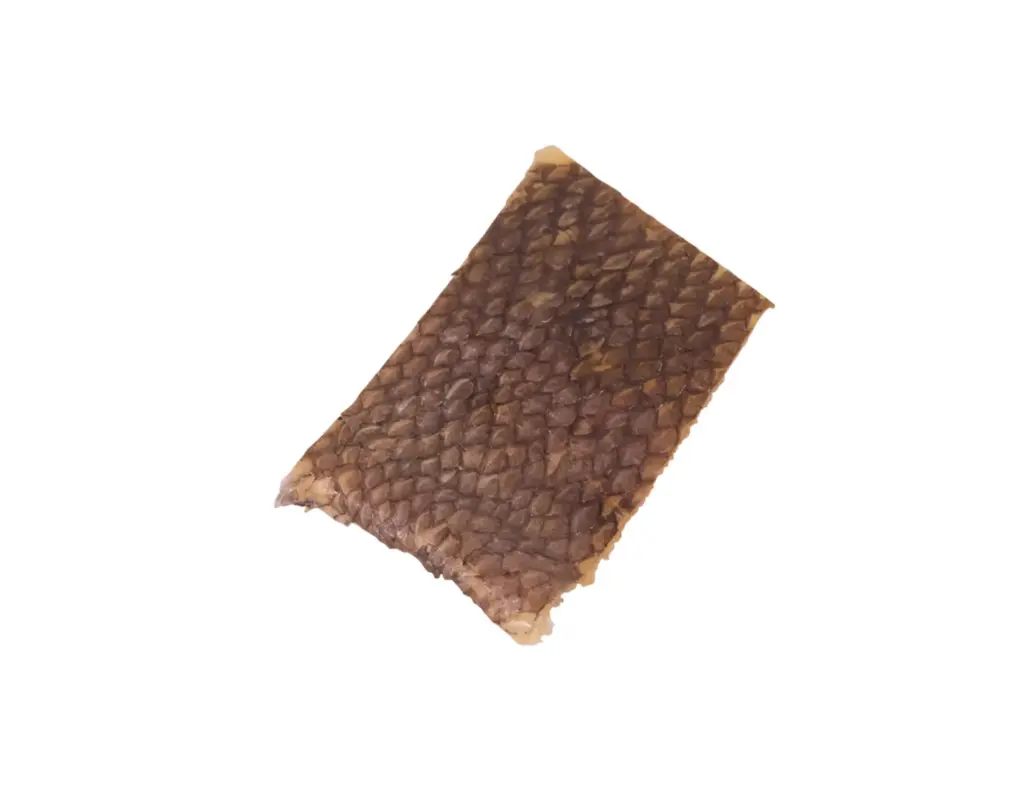 Peau de merlu (30 g) - Vadigran