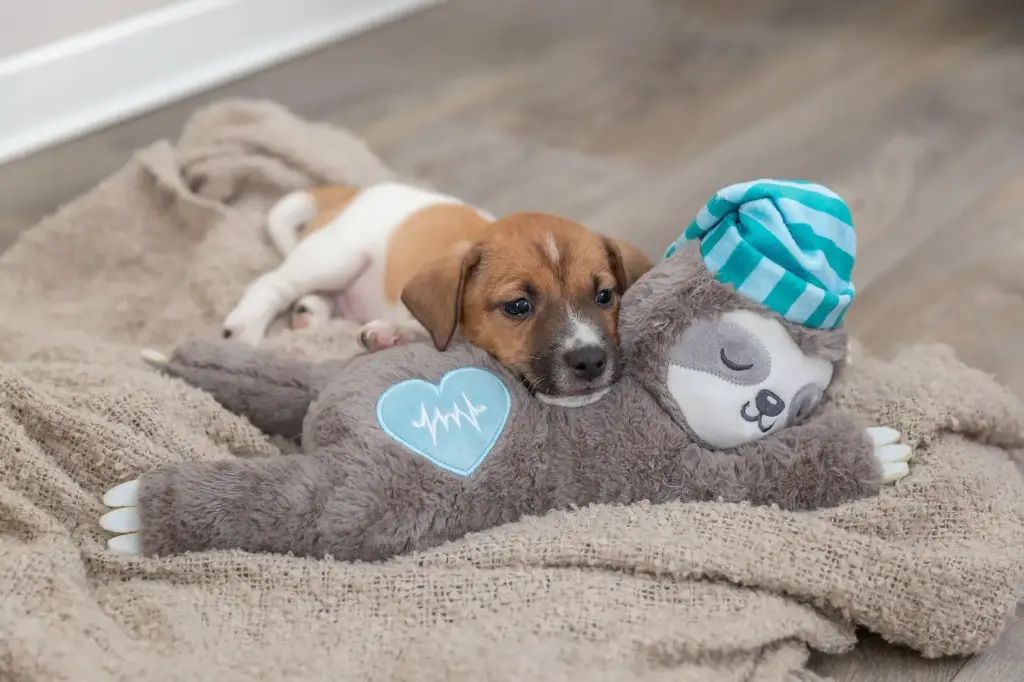 [J26010002] Peluche Junior paresseux avec battements de coeur (34 cm) - Trixie 