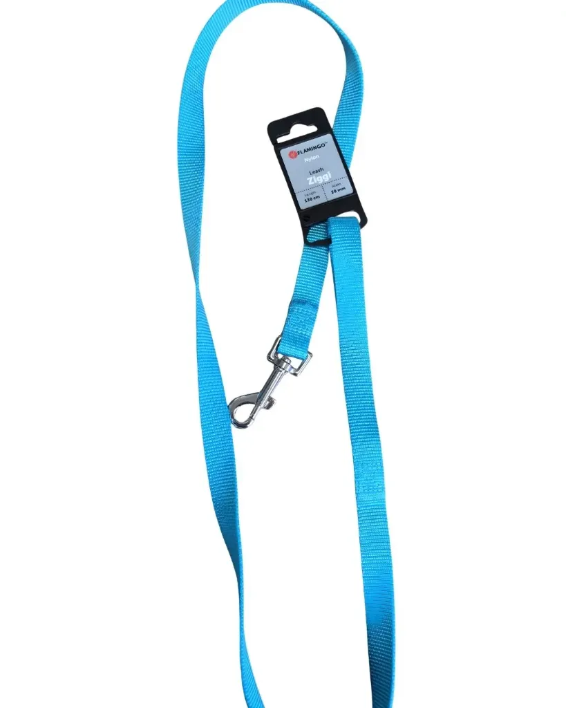 [J26010074] Laisse ziggi turquoise (130 cm, 20 mm) - Flamingo