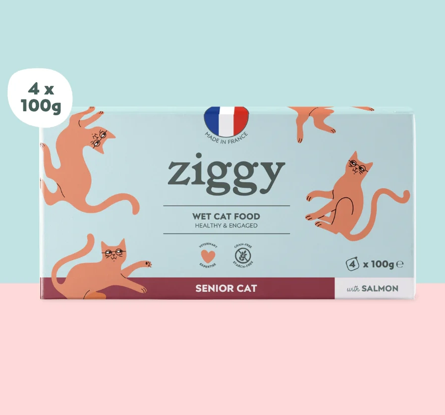 [J26020042] Pâtée Complète Chat Senior - Saumon (4 barquettes 100 g) - Ziggy