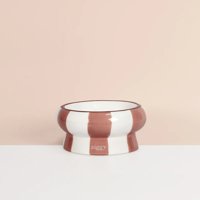 [J26020043] Gamelle céramique Cool Cat Club Marron & Beige  (15.5 cm) - Ziggy