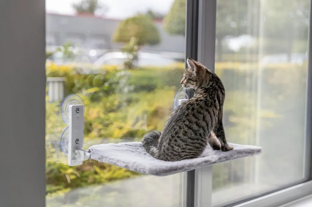 Plateforme vitrée - Trixie