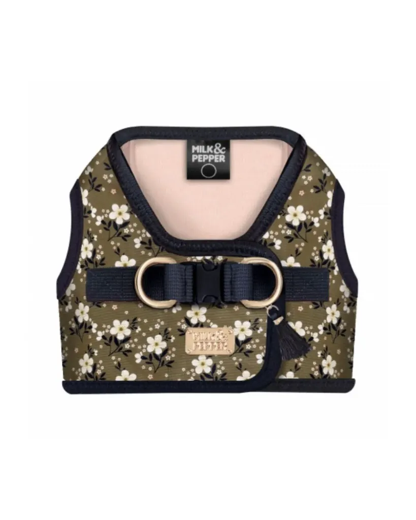 [J26040039] Harnais Jacket Bethany - Milk&Pepper (26 cm)