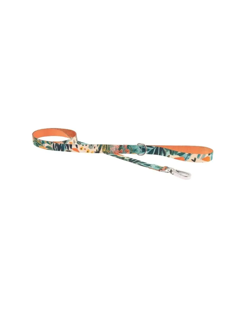 [J26040196] Laisse Portofino - Ferribiella (XS)