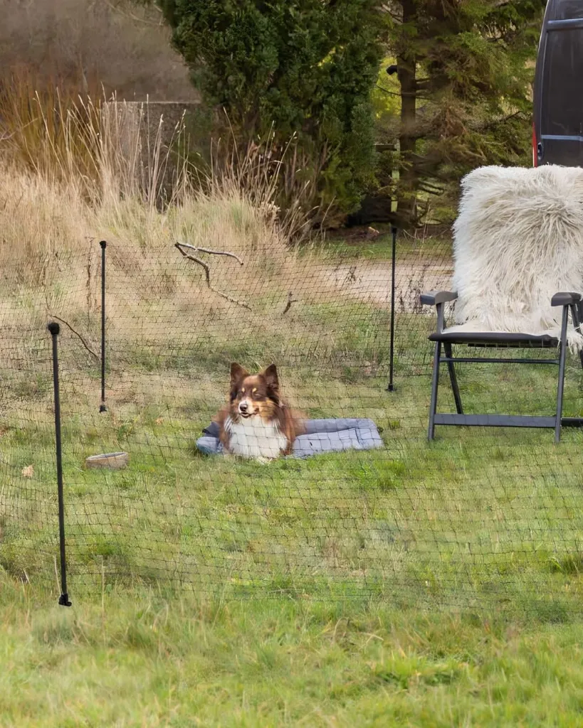 Clôture mobile noir pour chien (15 m) - Trixie