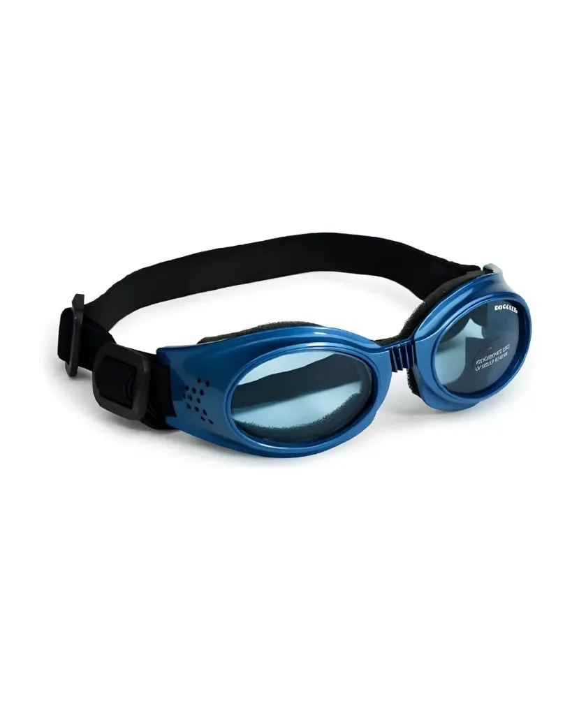 Lunettes de soleil bleues (L) - Doggle