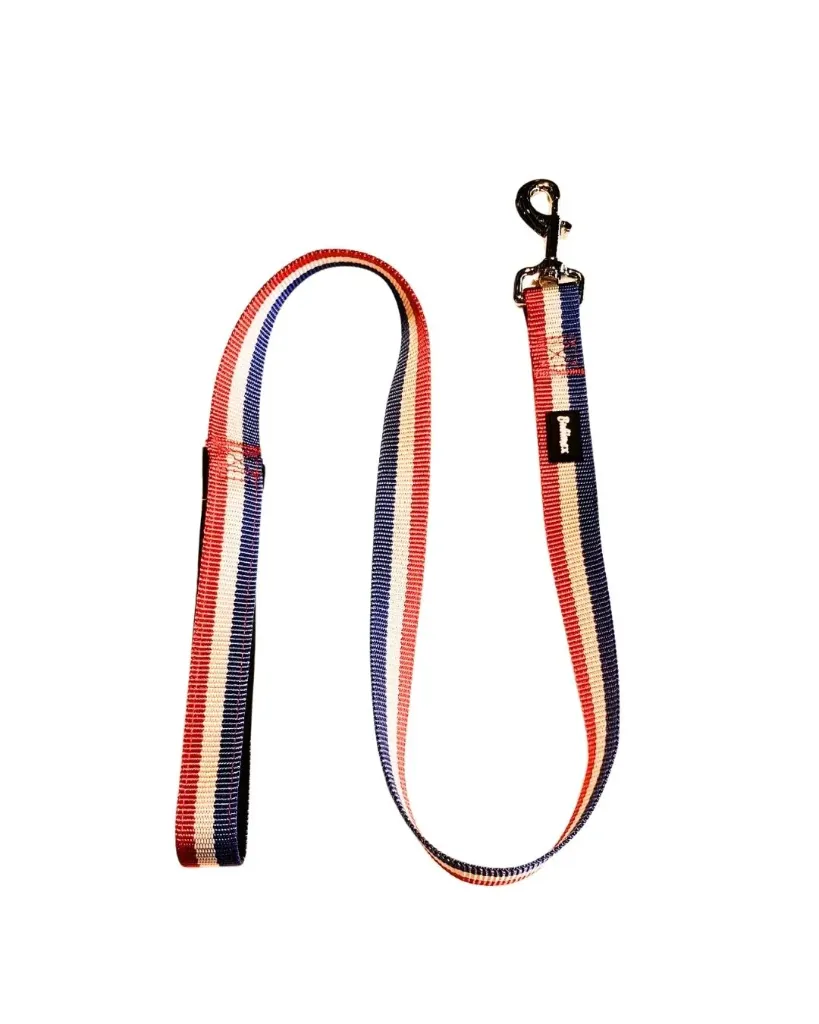 Laisse France nylon (15 mm / 120 cm) - Bubimex
