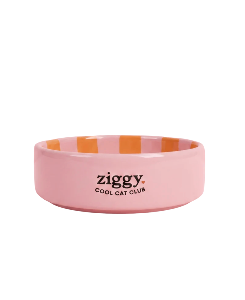 [J26060211] Bol "Cat Vibes Only" - Ziggy