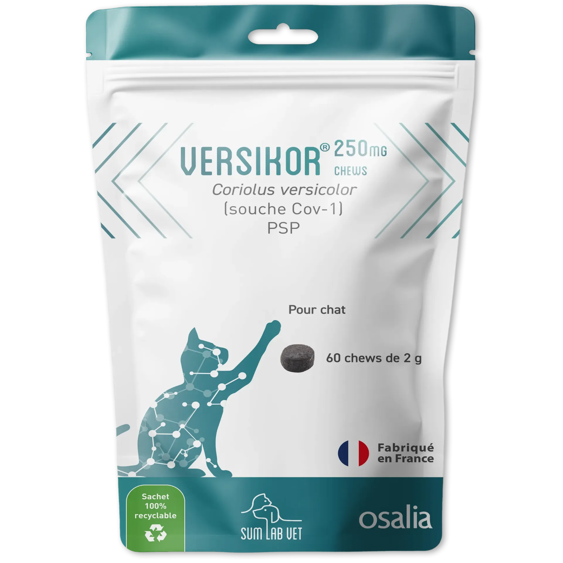 Versikor 250MG chews Chat - 60 boulettes (120 g) - Osalia