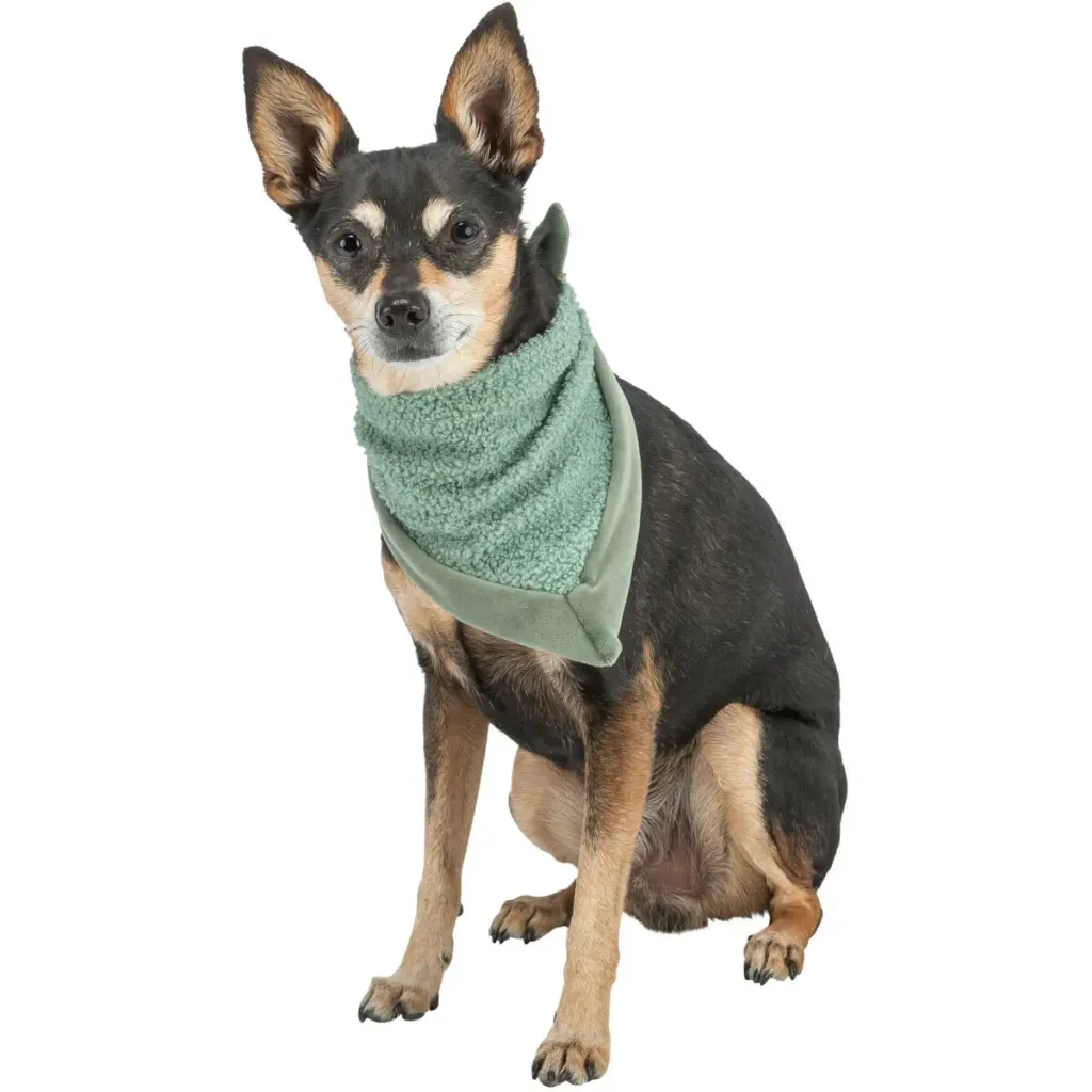 [J26100077] Xmas foulard sauge (taille S : 55 cm) - Trixie